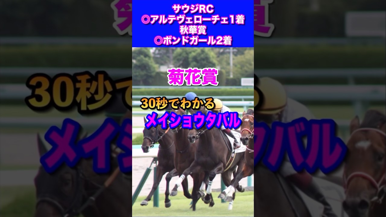 【菊花賞2024】30秒でわかるメイショウタバル