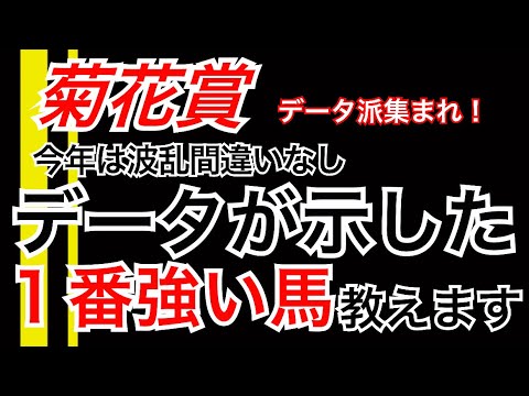 【菊花賞】データが示した1番強い馬教えます