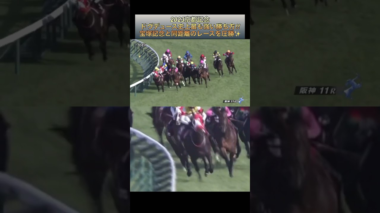 【競馬】2023京都記念ドヴデュース史上最高着差で宝塚記念と同距離のレースを勝利‼️  #ドヴデュース   #京都記念  #武豊