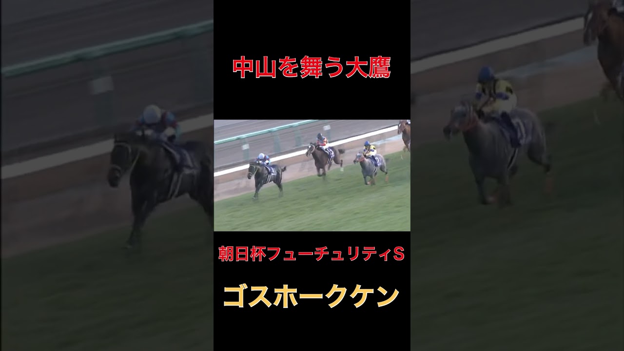 中山を舞う大鷹ゴスホークケン【朝日杯FS】#競馬#朝日杯フューチュリティステークス