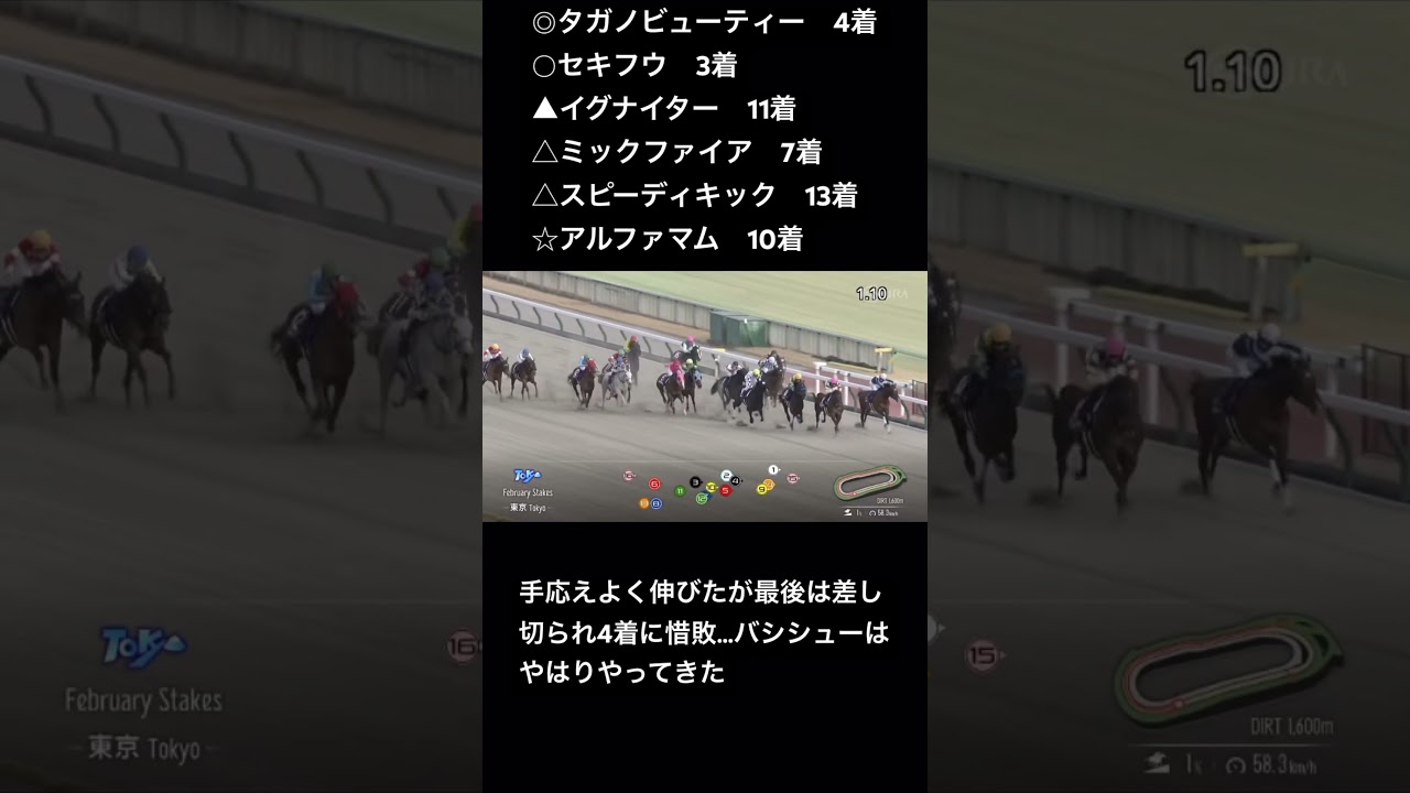 フェブラリーステークスの結果です、バシシューに運命を委ねて #競馬 #競馬結果　#フェブラリーs #フェブラリーステークス #タガノビューティー