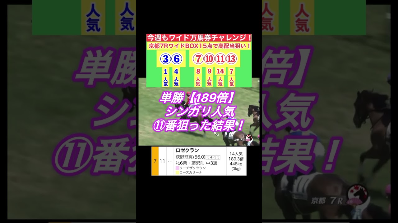 【ヴィクトリアマイル2024】前日の運試し！今週もワイド万馬券チャレンジ！#shorts #競馬予想 #ヴィクトリアマイル