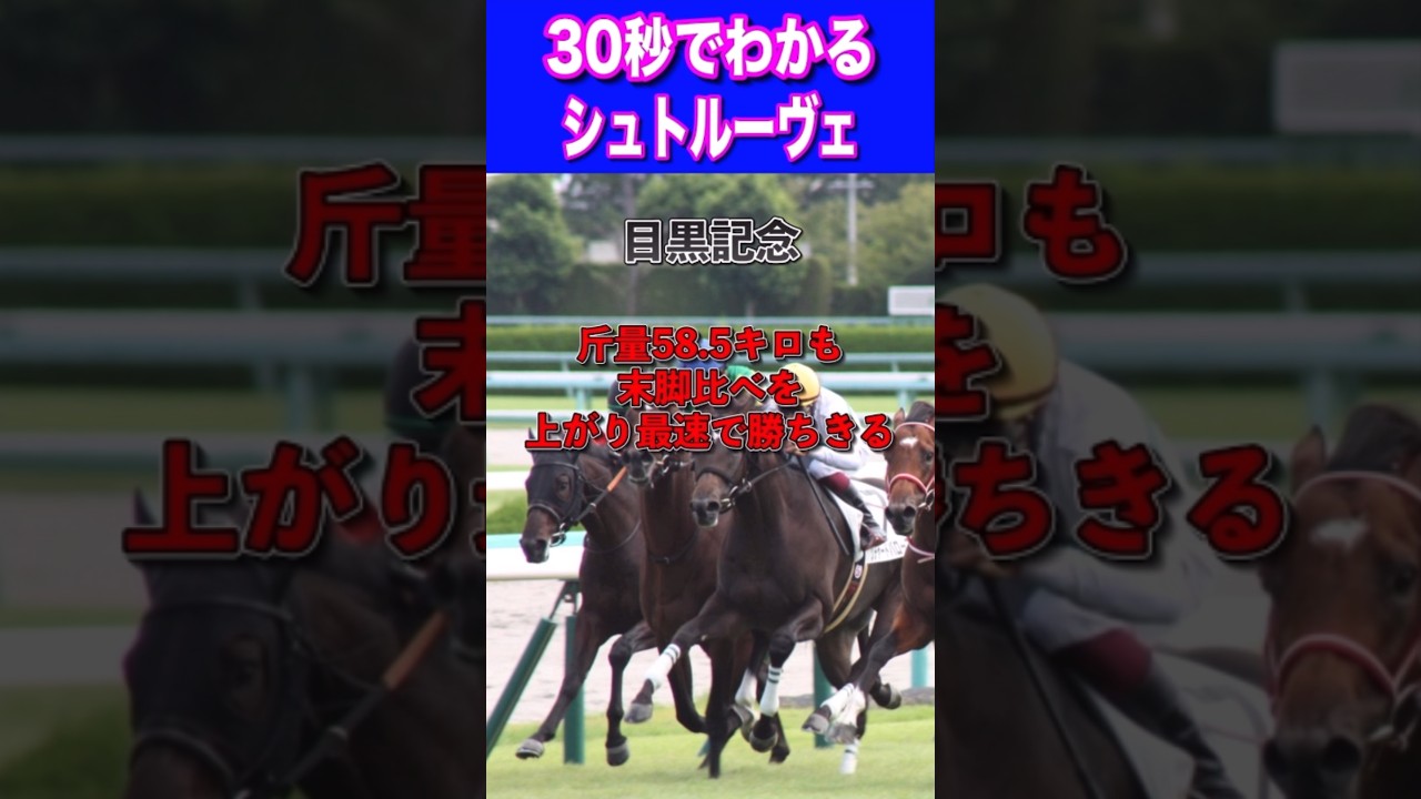 【宝塚記念2024】30秒でわかるシュトルーヴェ