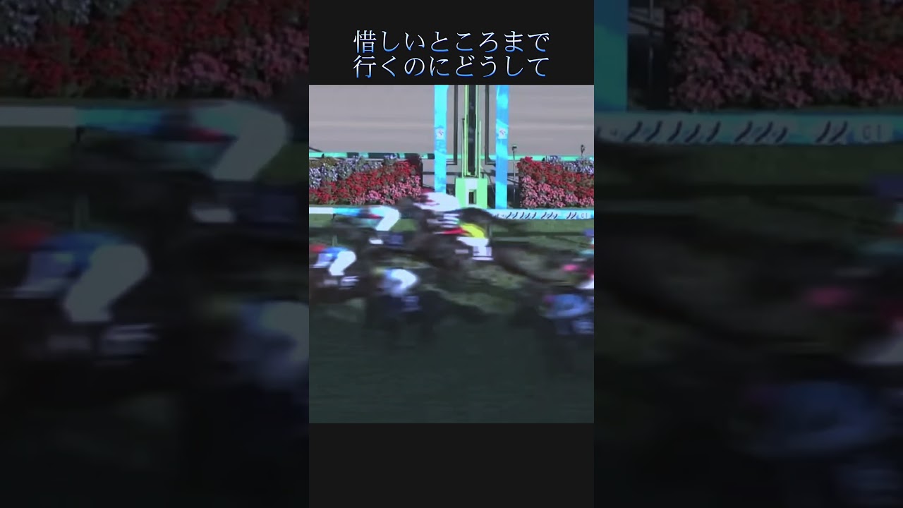 不屈の漢 ファストフォース#競馬#高松宮記念2023#バズれ #バズりたい