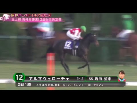 2024年 阪神ジュベナイルフィリーズ (GI) 本馬場入場【アルマヴェローチェ】