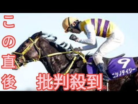 【中山大障害】マイネルグロン、ニシノデイジーらが登録