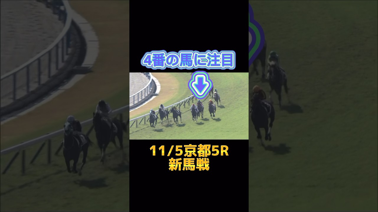 ホープフルSで気になる馬を見つけました！#競馬 #競馬予想 #ホープフルステークス #坂井瑠星