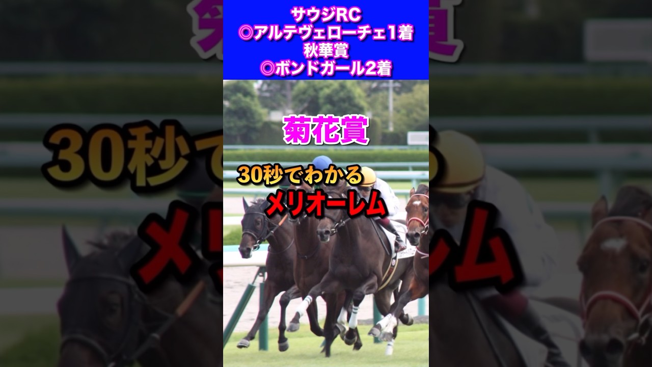 【菊花賞2024】30秒でわかるメリオーレム