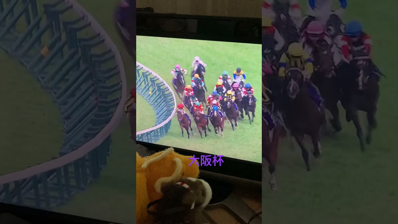 大阪杯 2024 べラジオオペラ 11-2-13