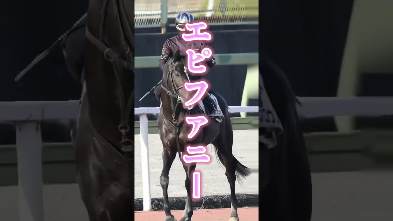 大阪杯でクサくない競馬プロはコイツしか本命にしねぇよwww #競馬 #大阪杯
