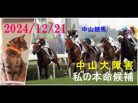 2024/12/21　中山競馬　中山大障害（Ｊ・ＧⅠ）私の本命候補