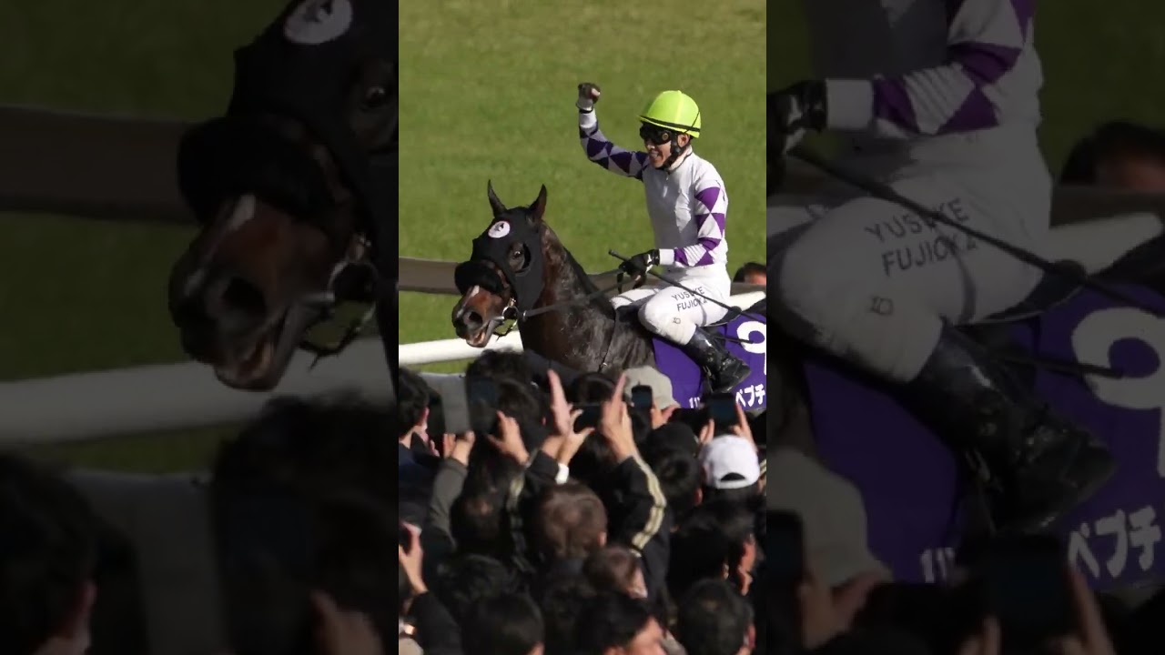 客席に鞭を放り投げる藤岡佑介騎手 フェブラリーステークス ペプチドナイル