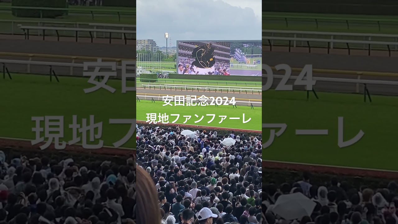 【安田記念2024】現地ファンファーレ #安田記念2024 #ロマンチックウォリア