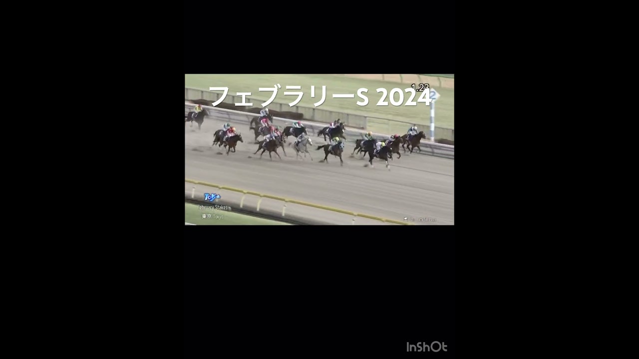 【フェブラリーステークス 2024】🔥ダート1600Mの頂点を決める戦い！🐎 #競馬 #フェブラリーステークス #shorts