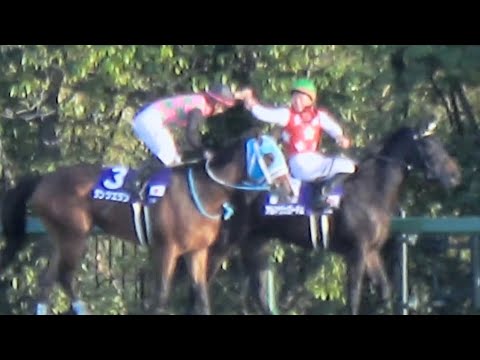 【阪神JF2024】岩田望来騎手 アルマヴェローチェでJRAのGⅠ初制覇‼ 現地映像