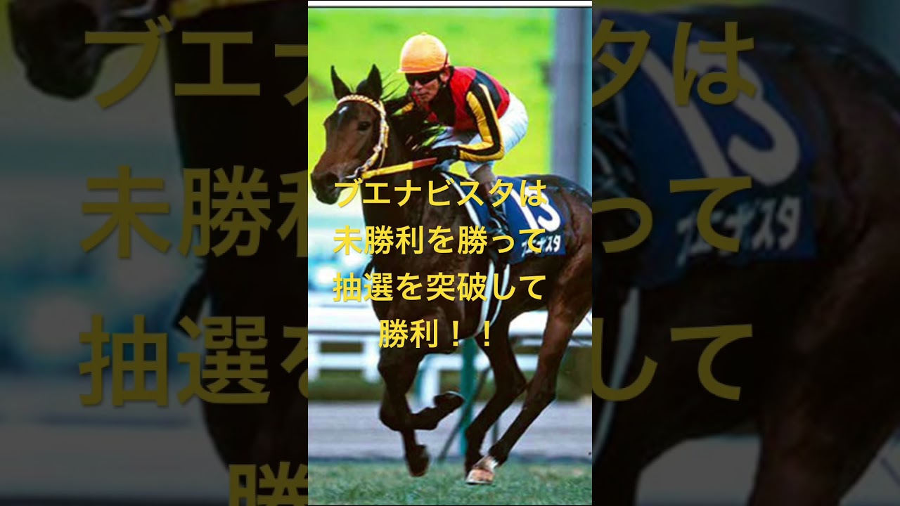 阪神ジュベナイルフィリーズ 2024 サイン馬券予想！！