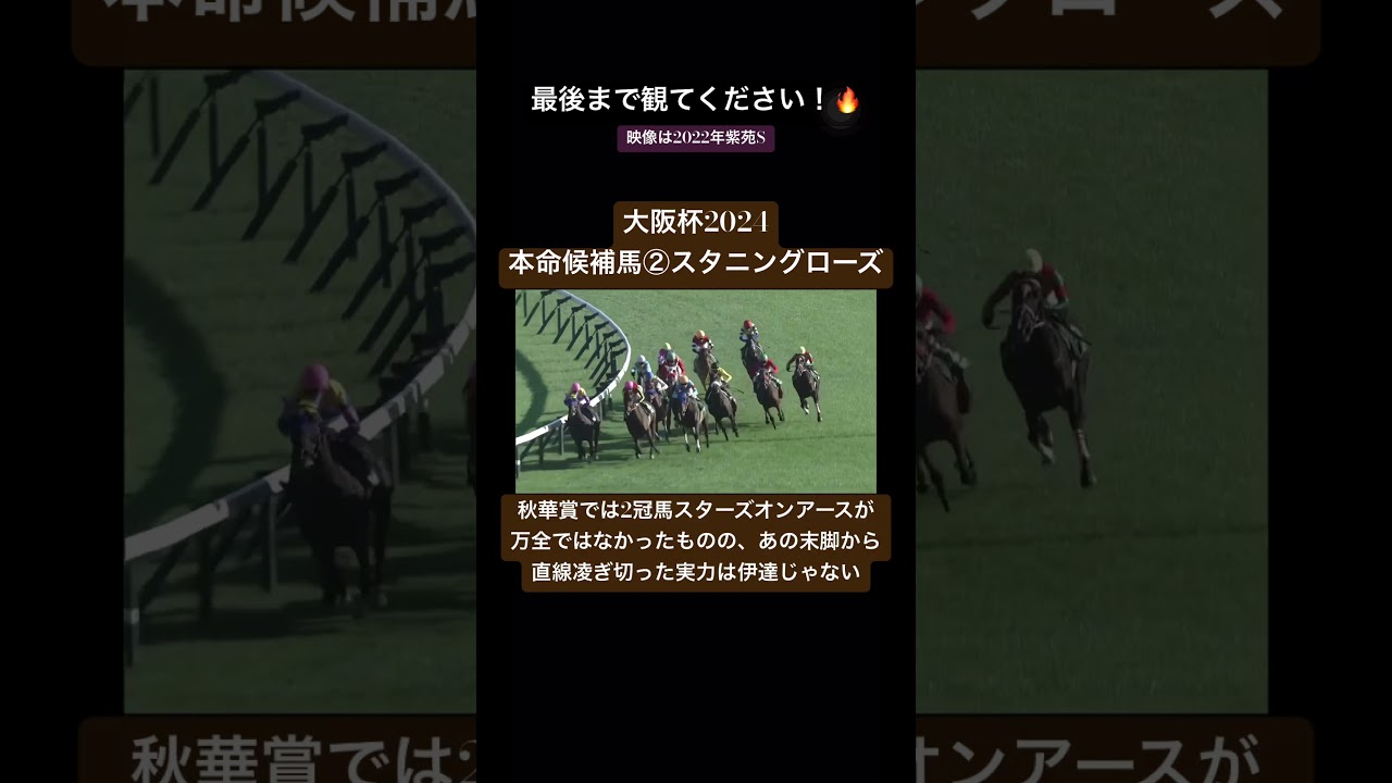 【大阪杯2024】本命候補馬②スタニングローズ🐎！#競馬 #競馬予想