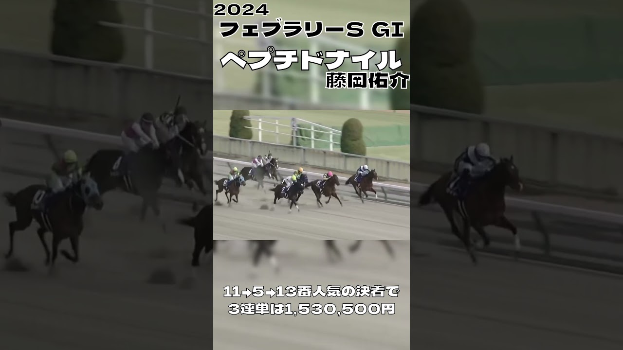 上位人気馬どこ行った？ フェブラリーステークス 2024 ペプチドナイル 藤岡 佑介#shorts