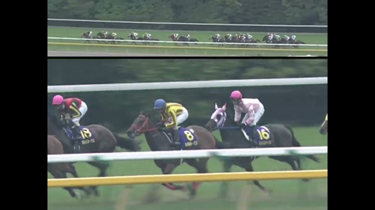シーザリオ 2005年 第66回優駿牝馬(オークス)(GI) (優勝馬：シーザリオ)