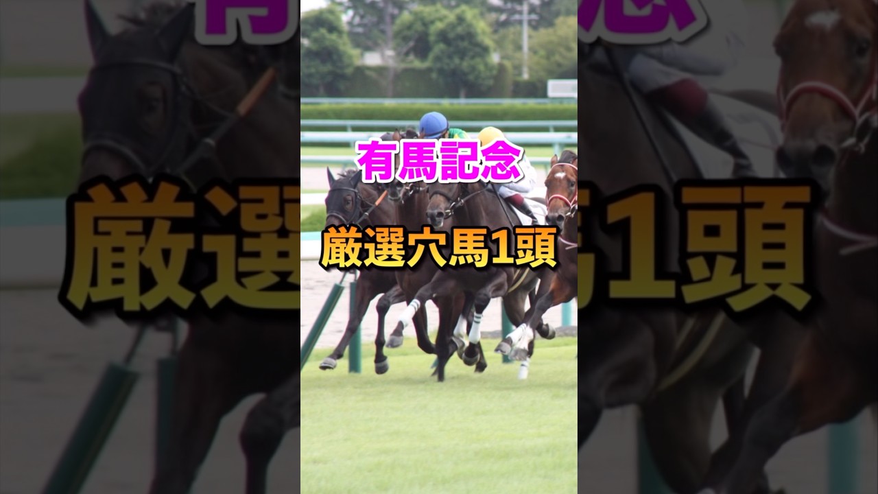 【有馬記念2024】厳選穴馬1頭