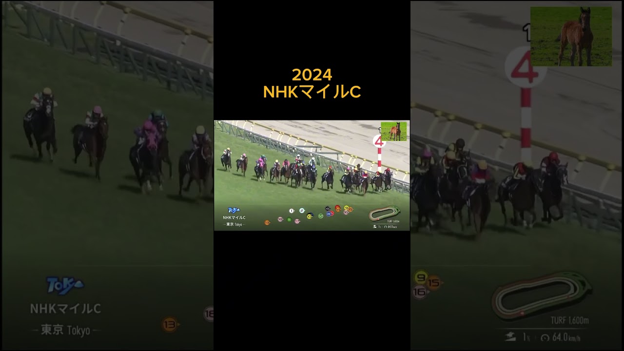 2024NHKマイルC  アスコリピチェーノ強すぎない？？#競馬 #nhkマイルカップ #アスコリピチェーノ