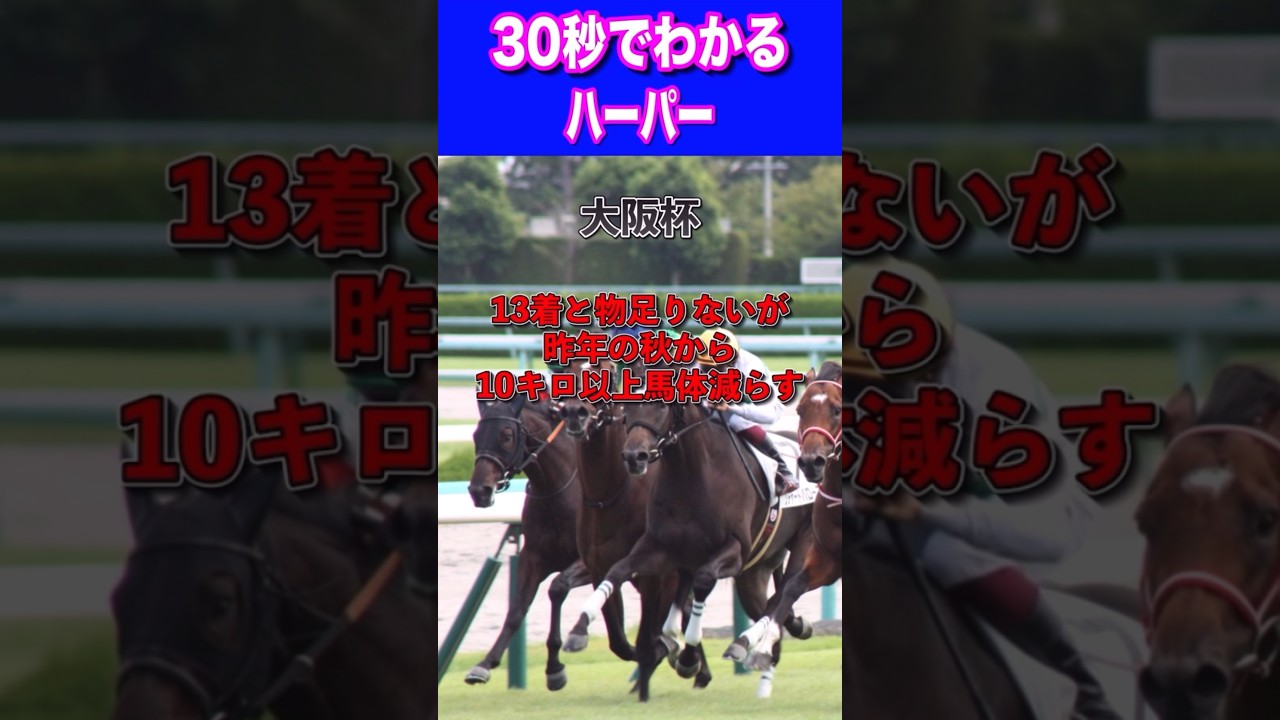 【ヴィクトリアマイル2024】30秒でわかるハーパー
