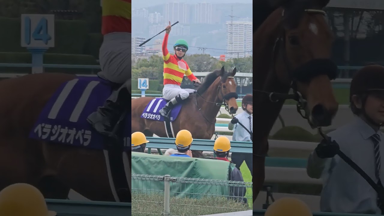 やったぜ‼️横山和生騎手❣️ #競馬 #jra #大阪杯 #阪神競馬場 #ショート #ショート動画 #short