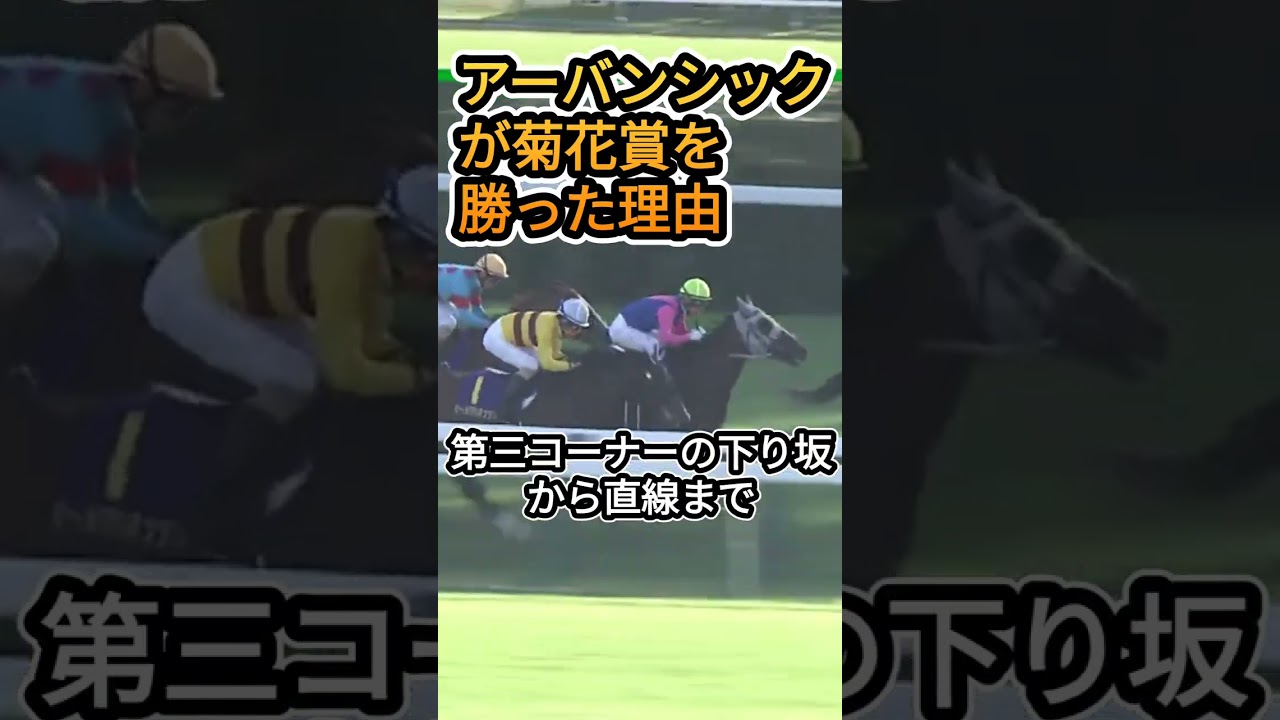 アーバンシックとルメール騎手が菊花賞G1を勝った理由 #競馬レース結果