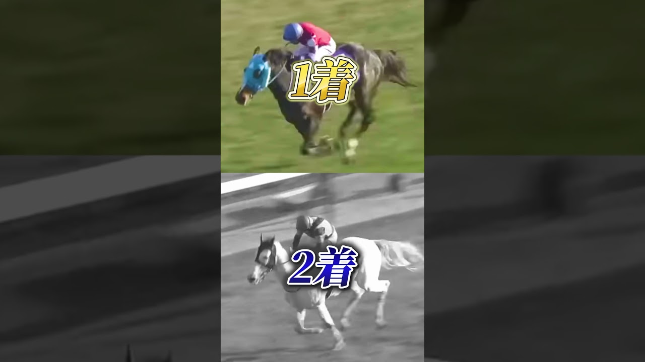 【因縁の対決】オジュウチョウサンvsアップトゥデイト#中山大障害#オジュウ