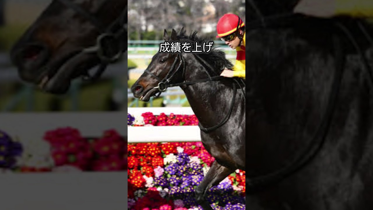 【宝塚記念2024】最高の相棒と２度目のG1制覇へ！ジャスティンパレスを買いたい理由！#競馬 #競馬予想 #宝塚記念#ジャスティンパレス#shorts