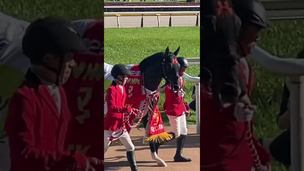 【現地撮影】NHKマイルカップ（2024）表彰式を終えて一足先に引き上げるジャンタルマンタル  #shorts #競馬 #川田将雅