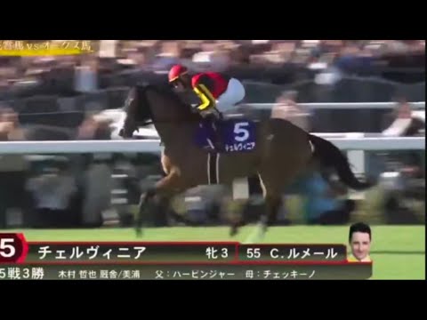 2024年 秋華賞 (GI) 本馬場入場【チェルヴィニア】