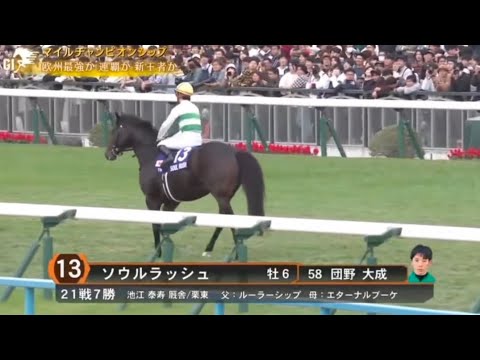 2024年 マイルチャンピオンシップ (GI) 本馬場入場【ソウルラッシュ】