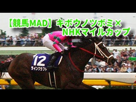 【競馬MAD】NHKマイルカップ×キボウノツボミ