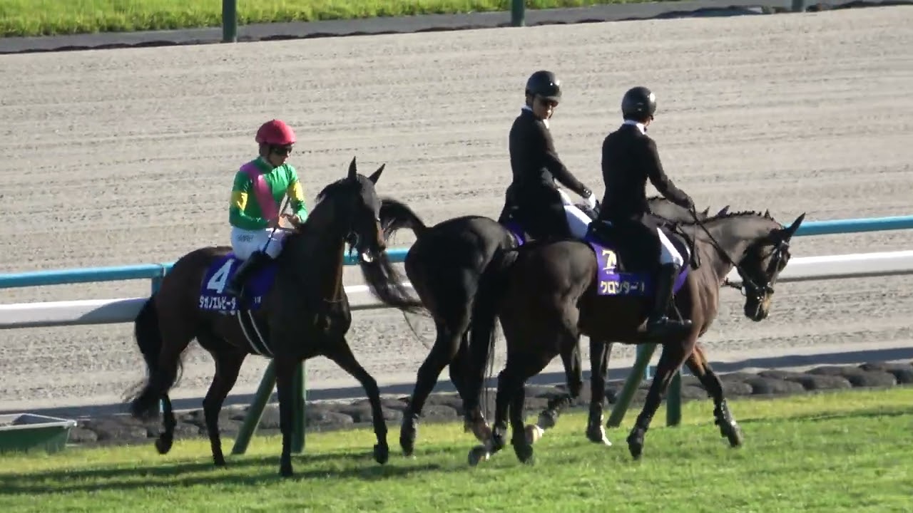 【秋華賞2024】 本馬場入場 現地映像