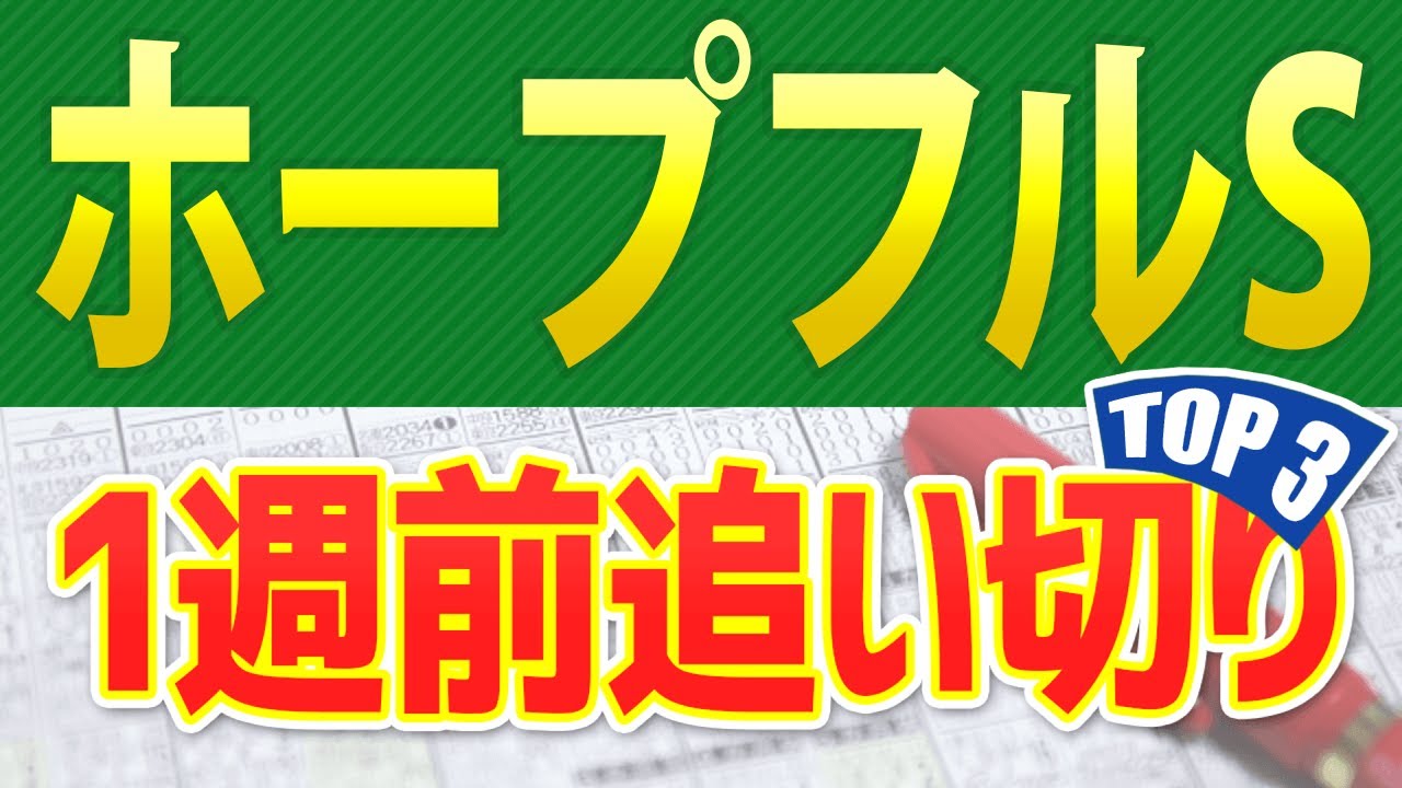 【ホープフルステークス2024】一週前追い切りが高評価だった出走予定馬3頭をシュミレーション🐴 ～JRAホープフルSの現地競馬予想～