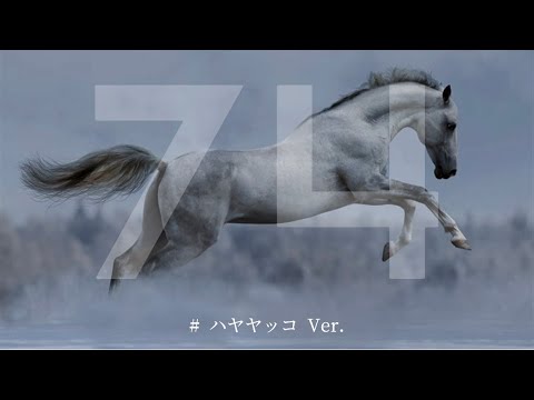 2024.03.31   白毛　ハヤヤッコ　阪神11R   大阪杯