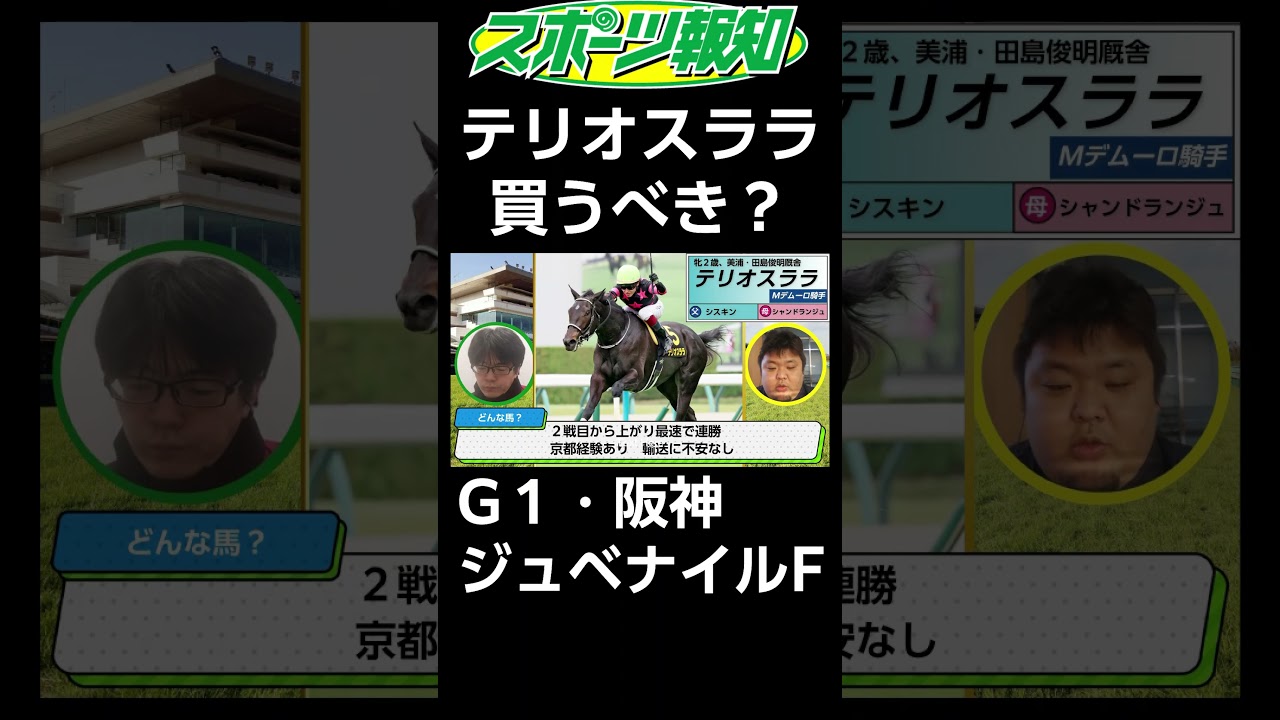 【阪神ジュベナイルフィリーズ2024】テリオスララの強み２つを７秒で解説！