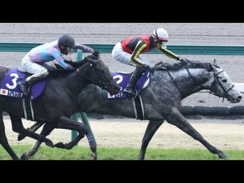 高松宮記念 2024 マッドクール優勝　坂井瑠星騎手　#競馬 #高松宮記念 #jra