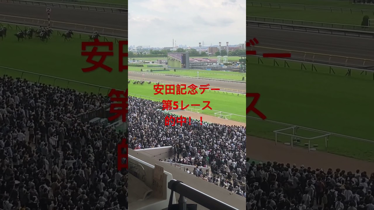 2024安田記念デー第5レース#ミリオンローズ#横山武史