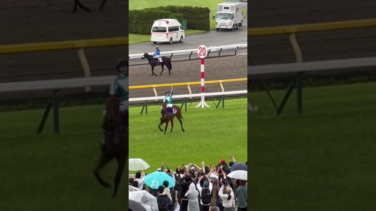 2024安田記念優勝🥇ロマンチックウォリアー号ウイニングラン