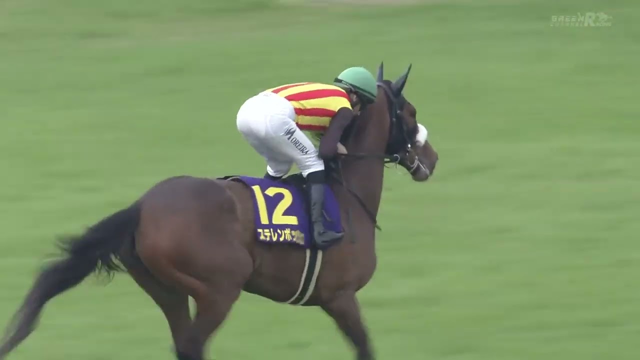 2024年桜花賞　ステレンボッシュ