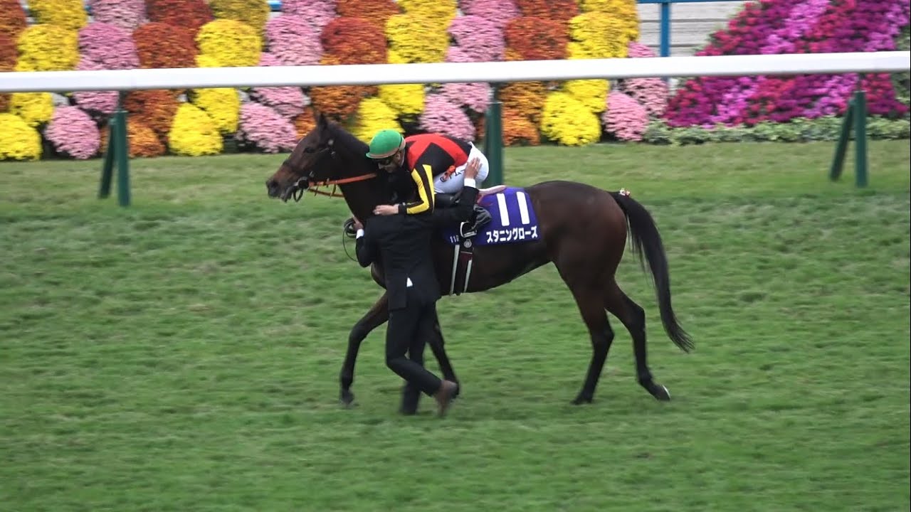 【現地】2024 G1 エリザベス女王杯 スタニングローズ C.デムーロ 秋華賞馬復活【生ファンファーレ】