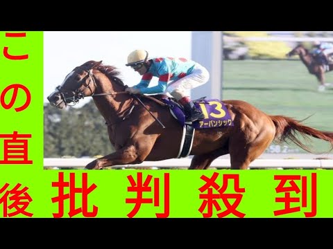 【有馬記念】菊花賞アーバンシックはルメール騎手を背に集中した走りで併入／G1追い切り速報