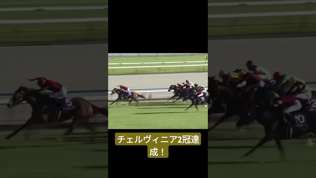 【2024年秋華賞】チェルヴィニアが新馬戦のリベンジを果たし、2冠達成！！ #競馬 #秋華賞#秋華賞2024#チェルヴィニア#ボンドガール#ルメール#shorts