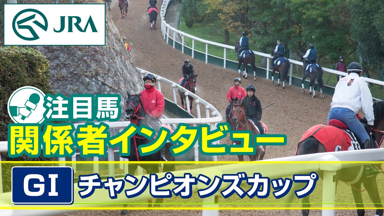 【注目馬 関係者インタビュー】2024年 チャンピオンズカップ｜JRA公式