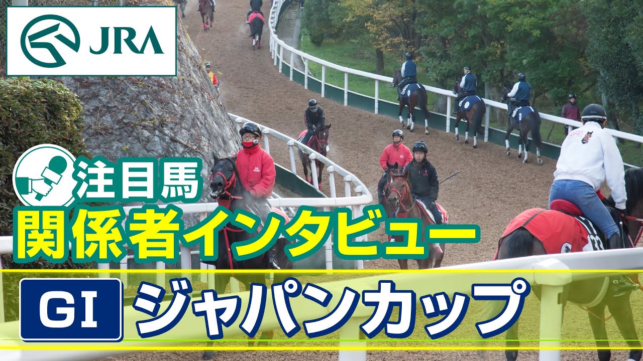 【注目馬 関係者インタビュー】2024年 ジャパンカップ（日本馬）｜JRA公式