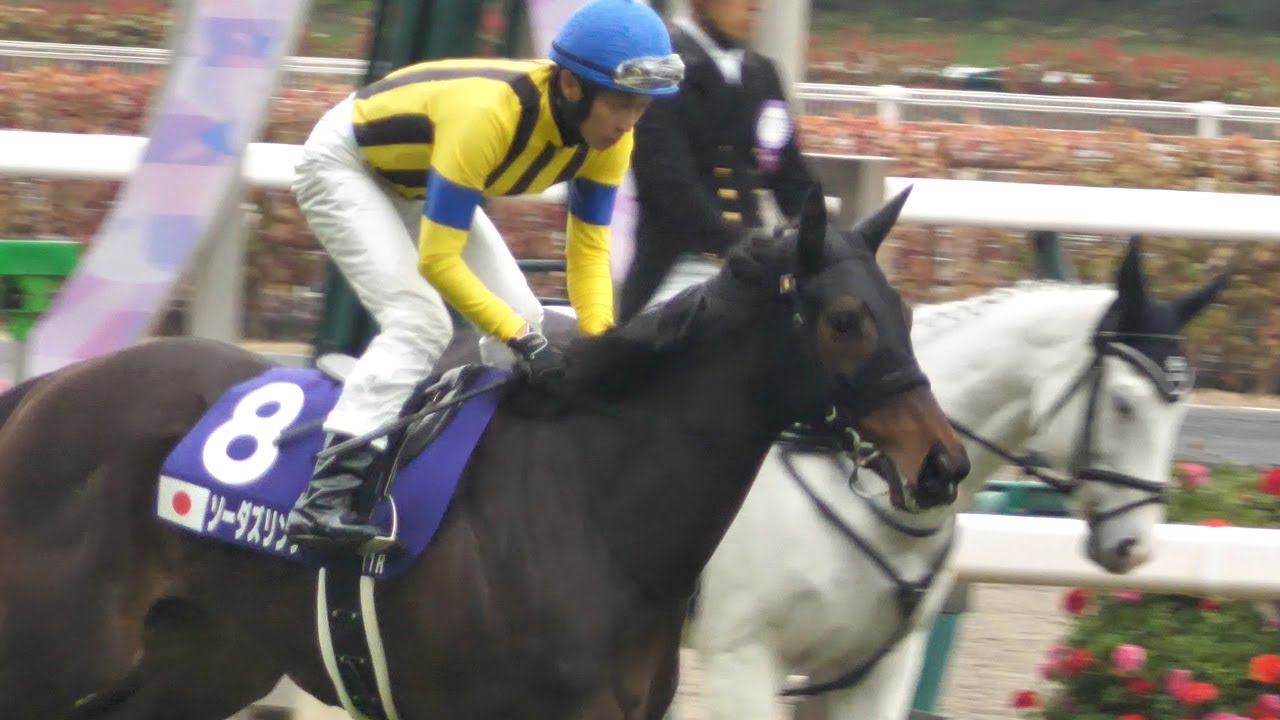 【武豊】ソーダズリング 高松宮記念 返し馬