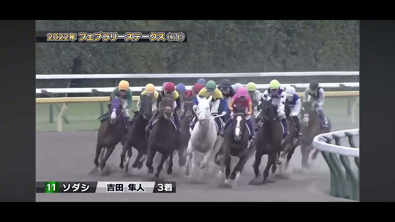 【ソダシ】フェブラリーステークス