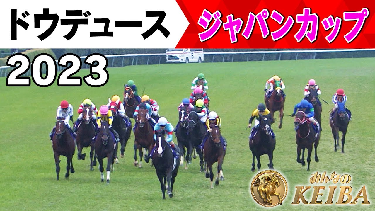 【みんなの有馬記念 ドウデュースの軌跡】#9 2023年 ジャパンカップ
